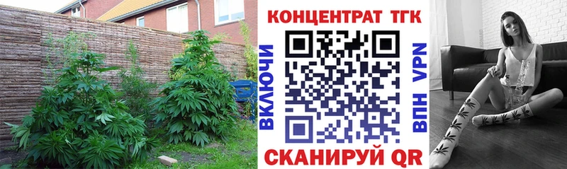 сайты даркнета телеграм  Клин  Дистиллят ТГК Wax 