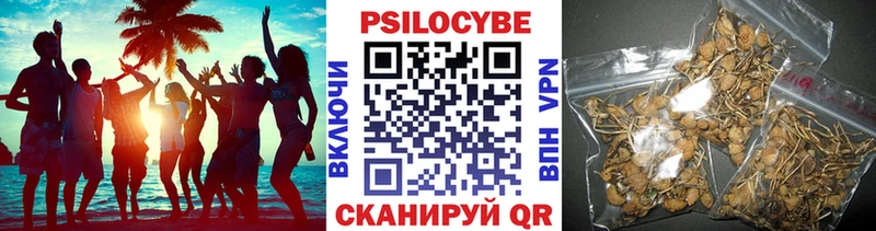 купить наркоту  Клин  Псилоцибиновые грибы Psilocybine cubensis 