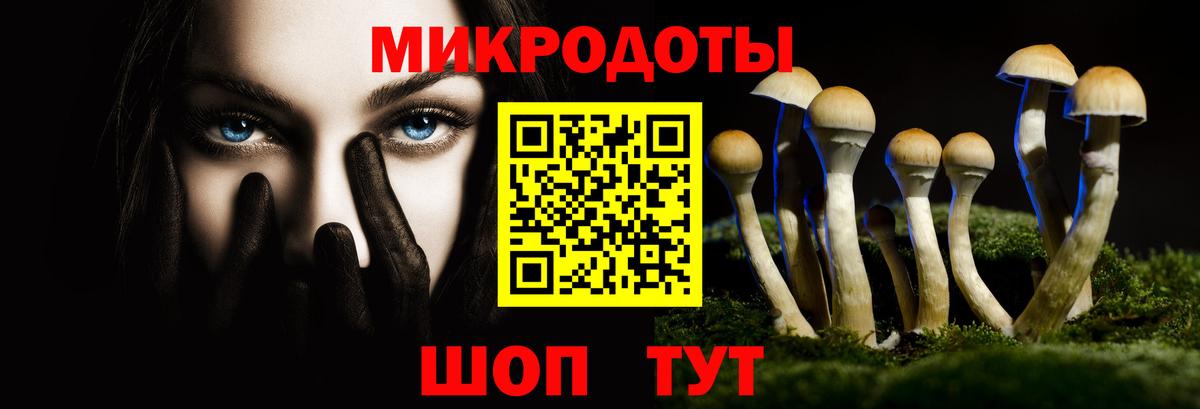 Клин  Галлюциногенные грибы мицелий  Вход с VPN  Псилоцибиновые грибы Psilocybine cubensis 