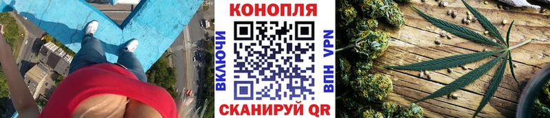 Конопля Amnesia  Клин 